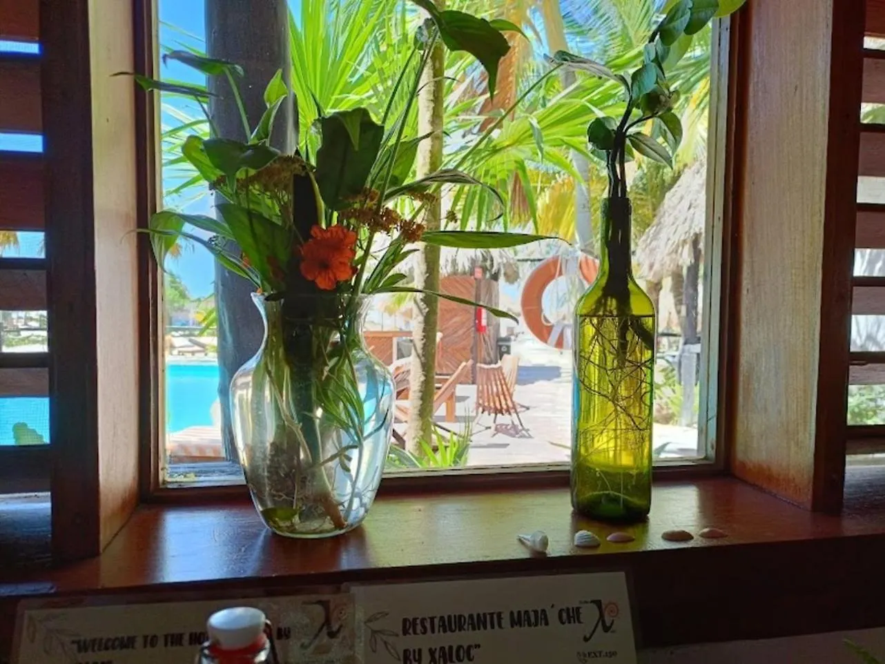 Holbox By Xaloc Hotel Ilha Holbox