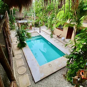 La Selva , Tulum Mexiko
