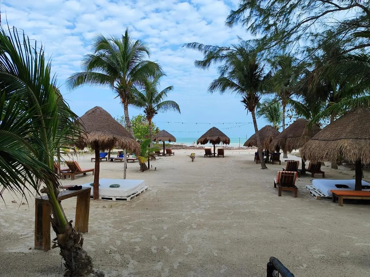 Holbox By Xaloc contacts